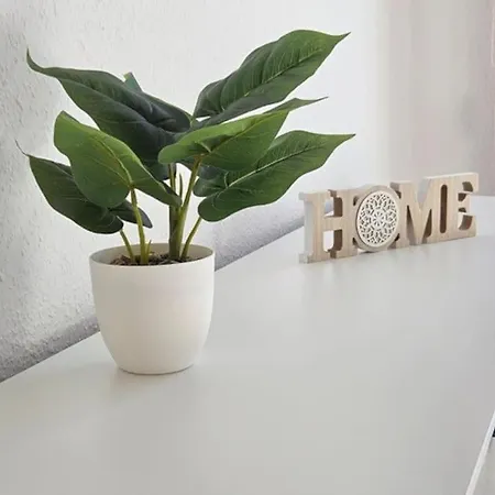 Apartmán Stilvolle Am Stadtwald Von